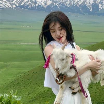 穿越橄榄树林
